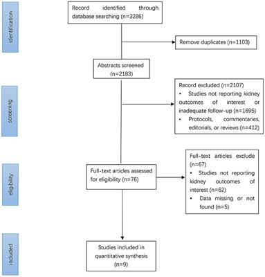 Effects of SGLT2 Inhibitors on Renal Outcomes in Patients With Chronic Kidney Disease: A Meta-Analysis